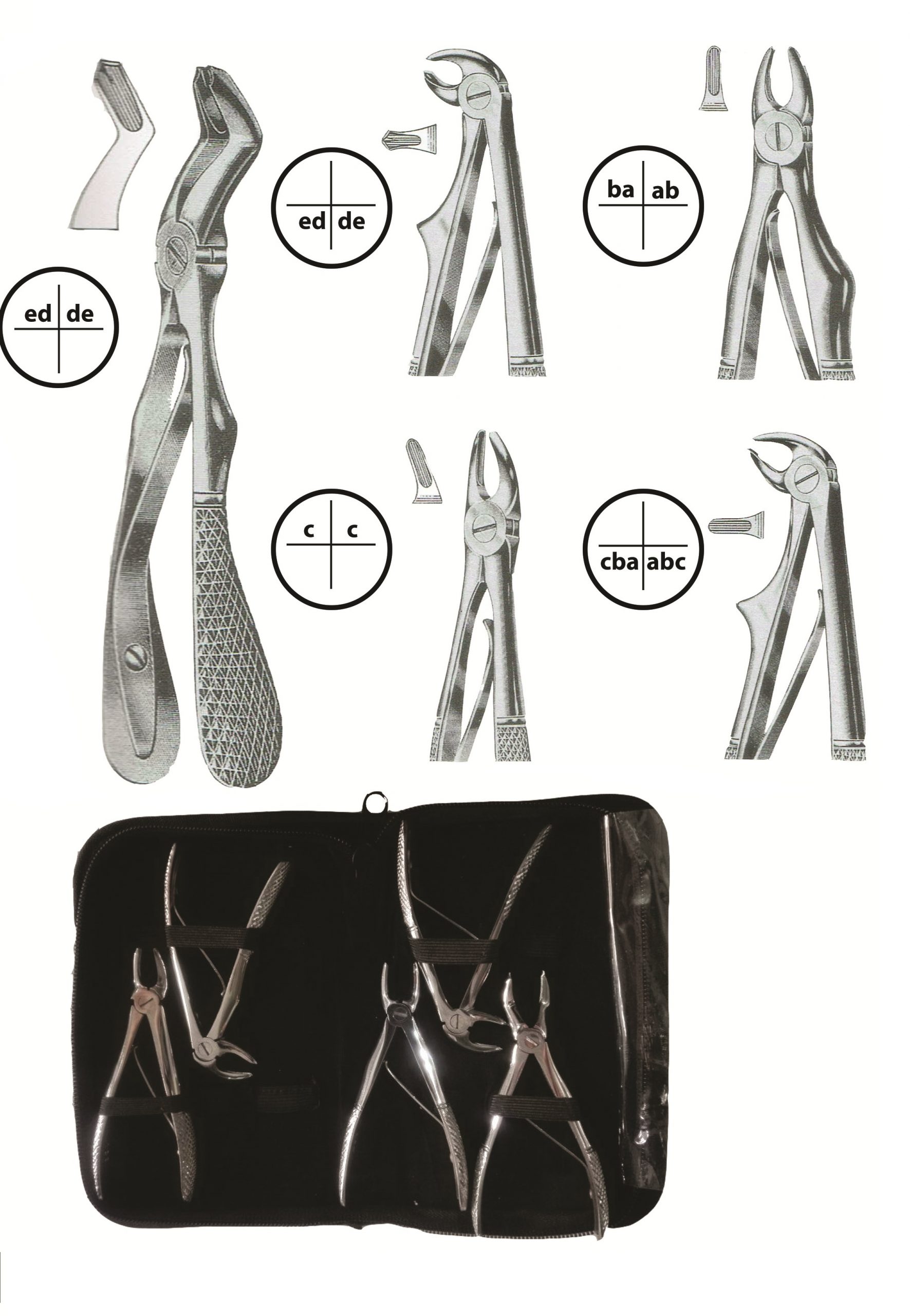 Pedo Forceps Kit of 5 Pieces