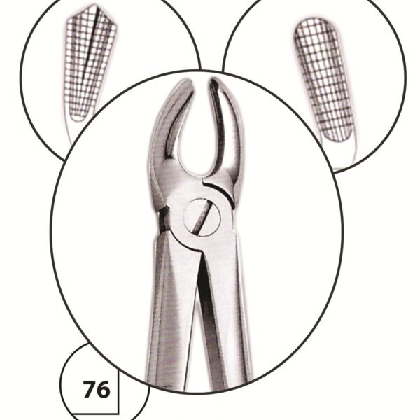 Upper Right Molar Forceps #17