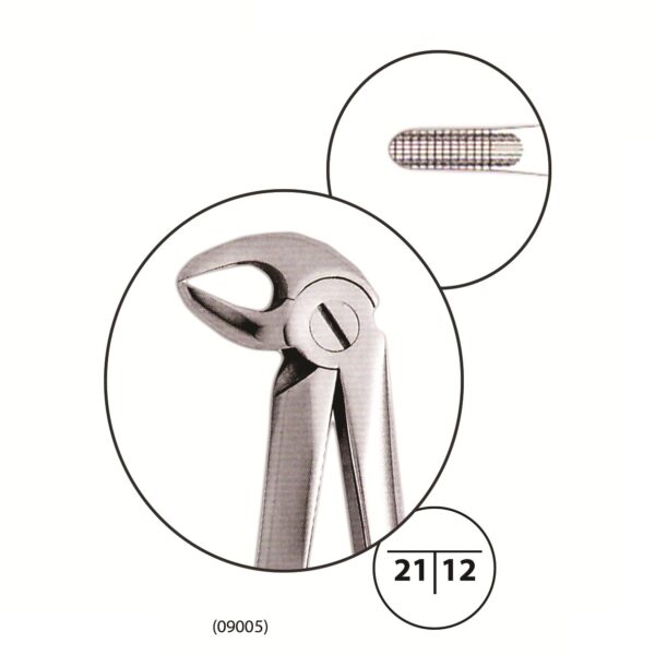 Lower Anterior Forceps #33