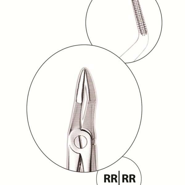 Upper Roots forceps (Bayonet )